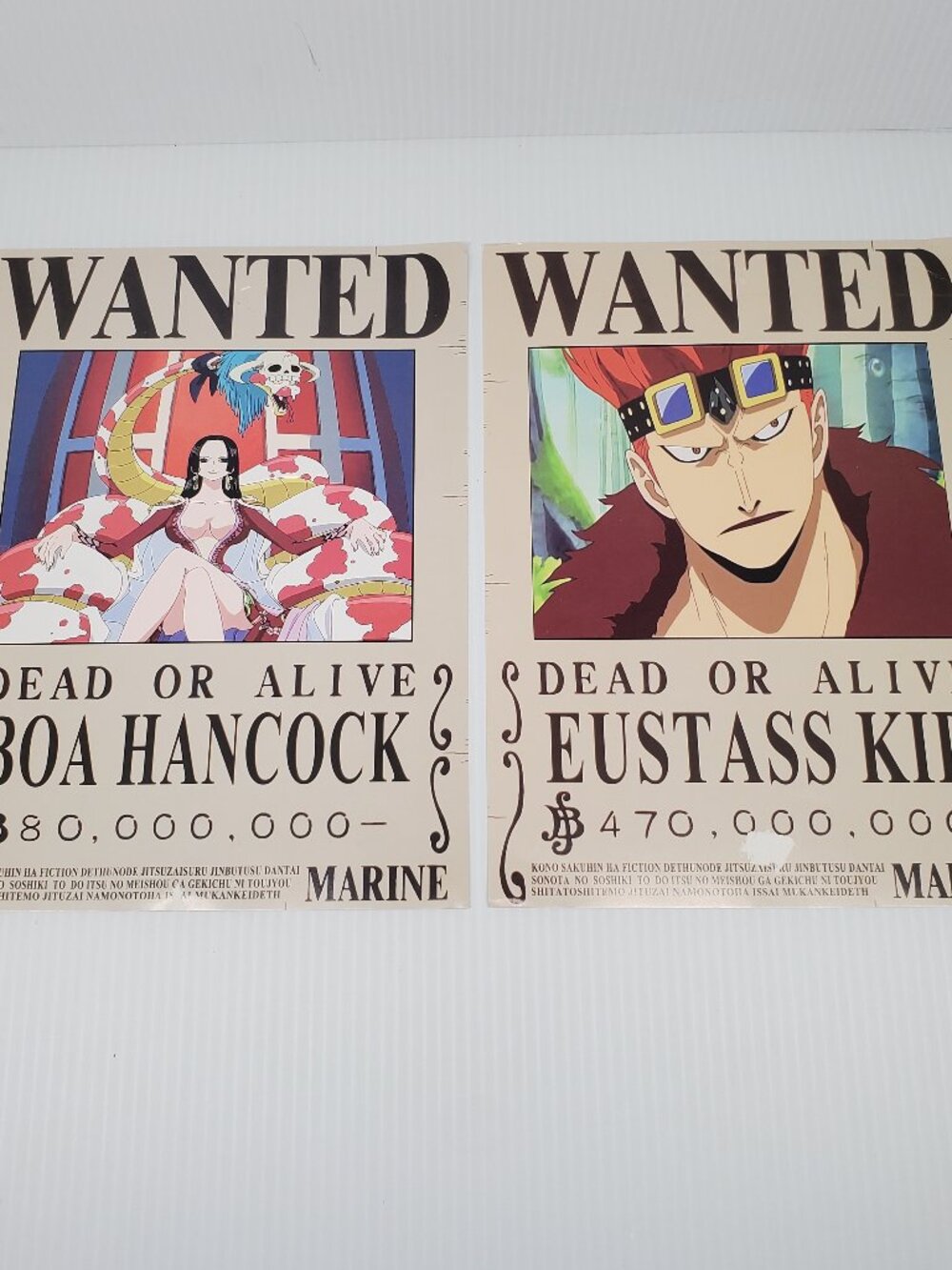 One Piece Dead or Alive, Boa Hancock & Eustass Kidd, 8x12 Glossy